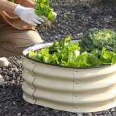 Ovales Metall-Hochbeet aus verzinktem Stahl (30 cm hoch)