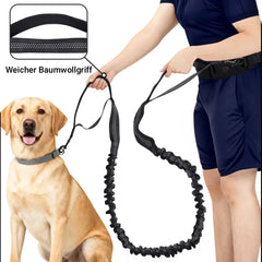 Joggingleine Hund – Hands-Free Hundeleine mit Bauchgurt, elastische Laufleine für Joggen, Laufen & Spaziergänge