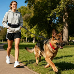 Joggingleine Hund – Hands-Free Hundeleine mit Bauchgurt, elastische Laufleine für Joggen, Laufen & Spaziergänge