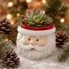 Weihnachtsmann Blumentopf – Niedlicher Pflanztopf für Sukkulenten & kleine Pflanzen, festliche Deko