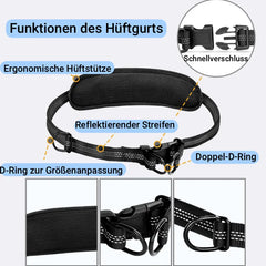 Joggingleine für 2 Hunde – Freihändig mit Bauchgurt