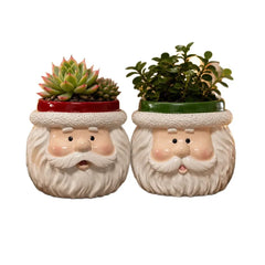 Weihnachtsmann Blumentopf – Niedlicher Pflanztopf für Sukkulenten & kleine Pflanzen, festliche Deko