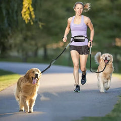 Joggingleine für 2 Hunde – Freihändig mit Bauchgurt
