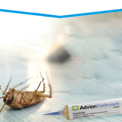 Effektiver Kakerlaken-Gelköder für Küche, Bad & Büro